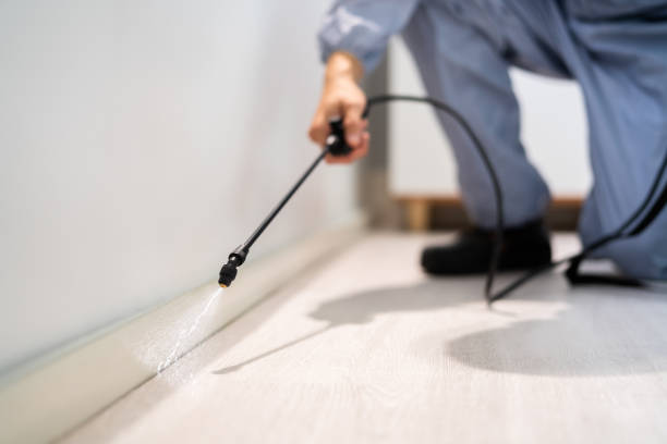 Licensed Fumigation Services service in Cudahy, CA - Nex Pest Control