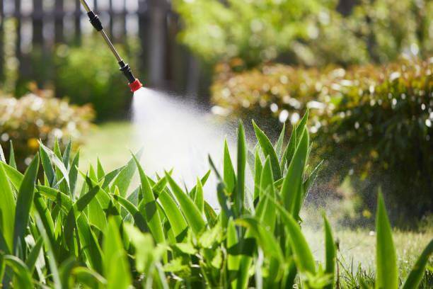 24/7 Emergency Fumigation Services experts in Cudahy, CA