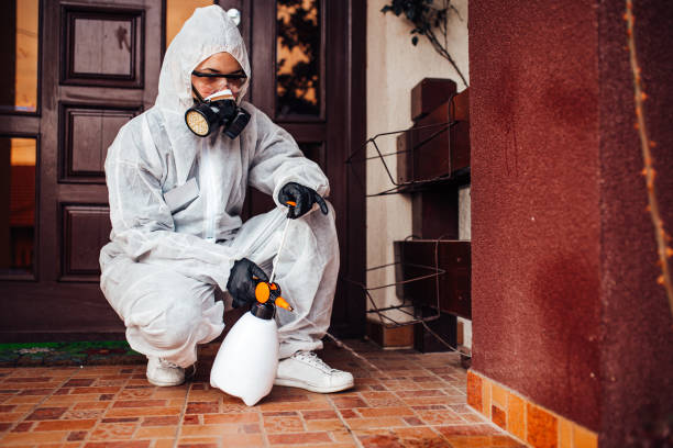 Reliable Fumigation Services contractor in Cudahy, CA by Nex Pest Control