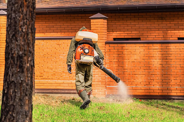 Top rated local Fumigation Services specialists in Cudahy, CA